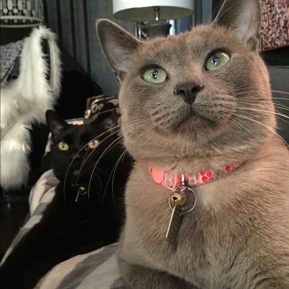 Meet your Posher, Heather - Picture 5 of 8